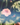 Close-up of a salmon-colored Scarlet Pimpernel flower with a blurred green background.