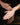 Body Oil - Hand applying oil on skin