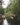 River flowing through dense green forest under overcast sky with scattered rocks