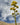 Tall agave plant with yellow blooms, cloudy sky, and desert mountains in the background.