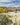 Hikers walking through desert terrain with yellow Navajo Tea flowers in the foreground and hills in the distance