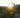 Silhouetted cholla cactus against a glowing desert sunrise with soft hills in the background