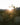 Silhouetted cholla cactus against a glowing desert sunrise with soft hills in the background