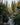 Stone with lush, woodsy undertones and a forest-like ambiance