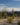 Desert flora landscape with ocotillo plants and distant mountains