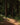 Sunlit dirt path winding through a dense redwood forest with dappled light and lush undergrowth