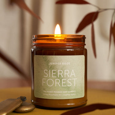 Sierra Forest Essential Oil Candle