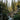 Stone with lush, woodsy undertones and a forest-like ambiance