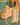 Body Oil – Coastal Pine in a natural lifestyle setting