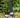Westwind Tides Field Lab 2025 Set