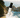 Wilderness Cologne Discovery Set Gif