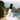 Wilderness Cologne Discovery Set Gif