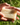 Bar Soap - Coastal Pine in a natural lifestyle setting