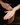 Body Oil - Hand applying oil on skin