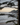Pine branches frame a misty Oregon coast with waves, sandy beach, and forested headland