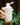 Body Wash - Coastal Pine - Held in hand with light lather and fir or pine needles nearby.