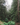 Towering redwood trees in a misty forest landscape