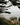 Coastal view framed by pine branches with rocky shoreline and ocean