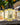 Body Oil – Cascade Forest – Product Group Shot