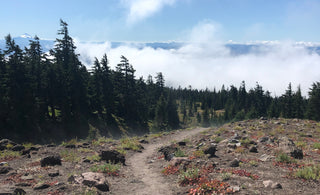 CRISP AIR AND CLEAN BLUE SKY – TIMBERLINE TRAIL FIELD LAB 2019
