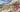 Rocky desert landscape with magenta wildflowers blooming. 