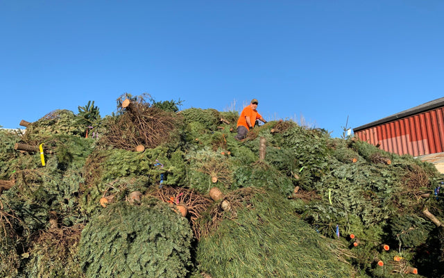 Trail Notes | Blog | Juniper Ridge – Juniper Ridge