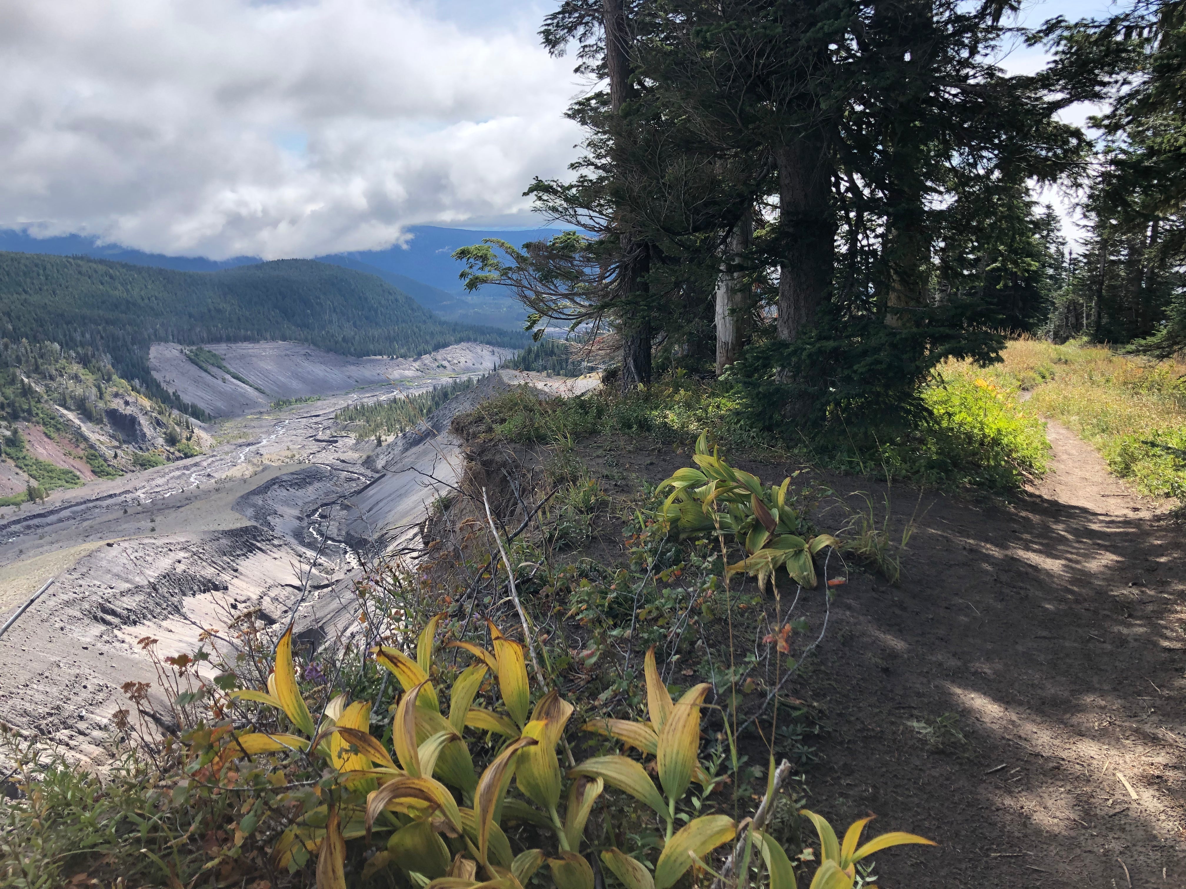 Timberline Trail 2026 Field Lab – Juniper Ridge