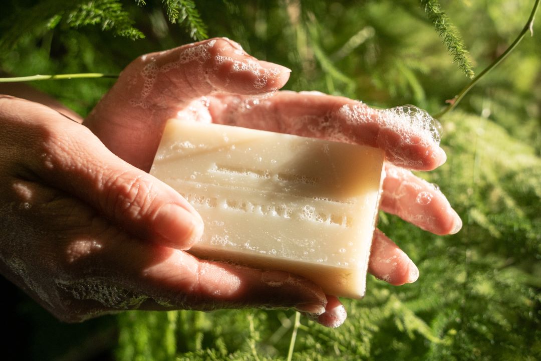 Bar Soap