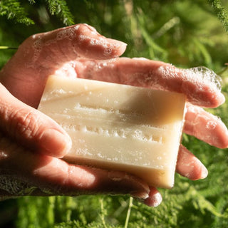 Bar Soap