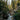 Mountain Forest Landscape