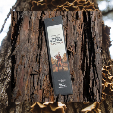 Walk With Wildness Field Lab Campfire Incense