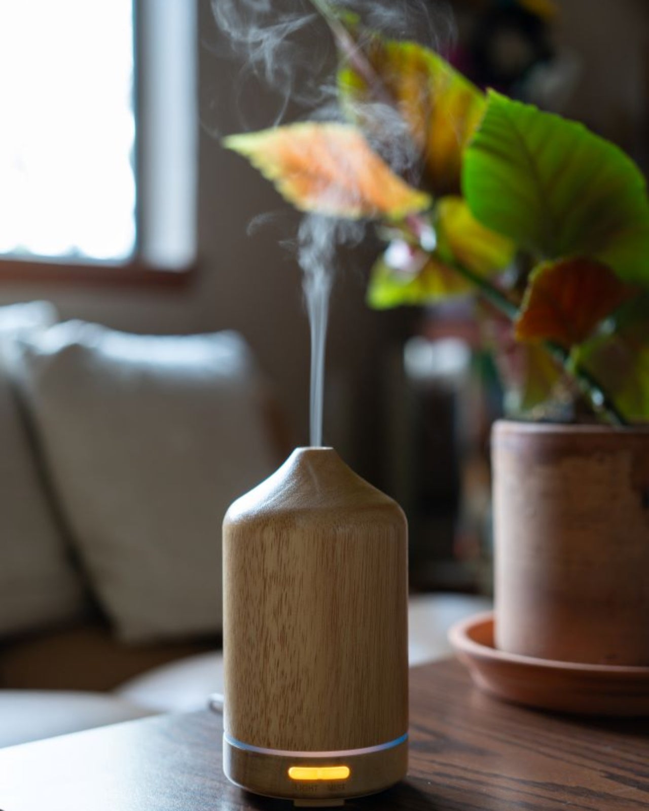 Wild Spaces Essentials Set – Juniper Ridge