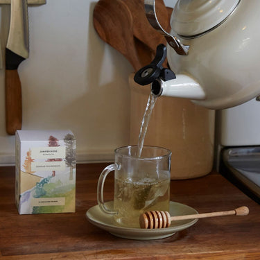 Douglas Fir + Rosehips Botanical Tea