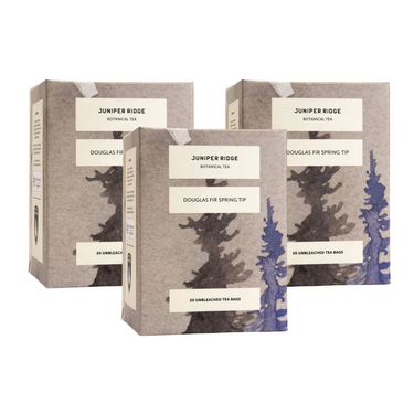 Douglas Fir Spring Tip Botanical Tea 3-Pack