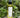 The Lost Coast - Body and Massage Oil Field Lab