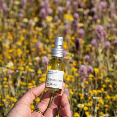 Field Lab – Juniper Ridge