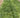 Farmed White Sage Loose Leaves - 1/2 lb.