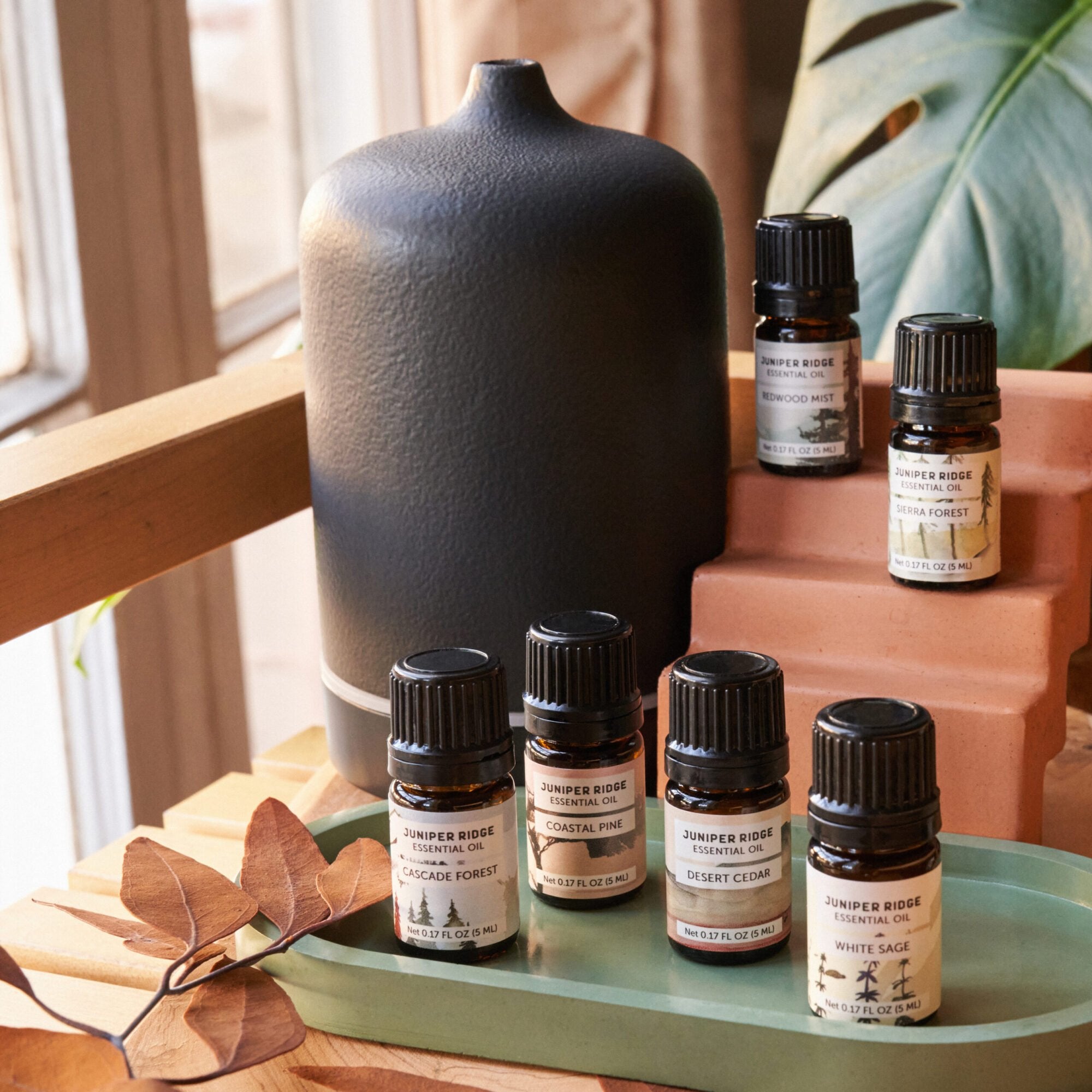 Essential Oil Diffuser and Oils